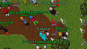Fiozza on screen
