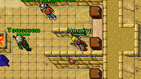 Marwyg on screen