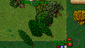 Cablava Budada on screen