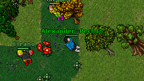 Alexander-Pechan on screen