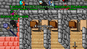 Kupuham on screen