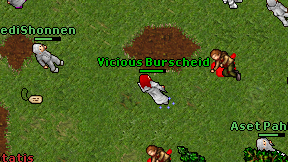 Vicious Burscheid on screen