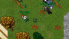 Slocum on screen