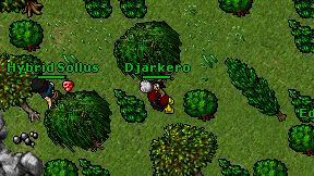 Djarkero on screen