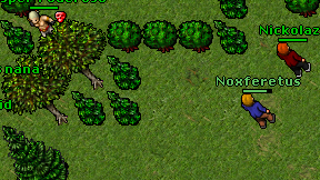 Noxferetus on screen