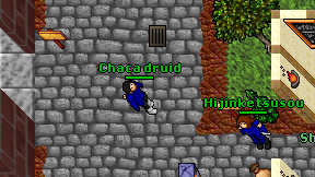 Chaca druid on screen