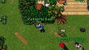 Zatoichi San on screen