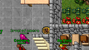 Masters Dragons on screen