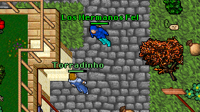 Los Hermanos Fel on screen