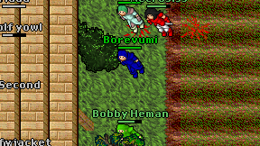Borevumi on screen