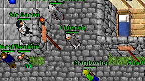 Liderek on screen