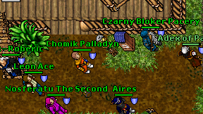 Chomik Palladyn on screen