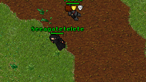 Seeagatetelete on screen