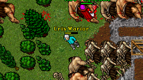 Cris Warior on screen