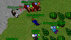 Dzielniciwy on screen