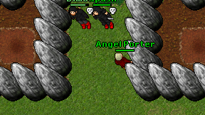 Angel Porter on screen