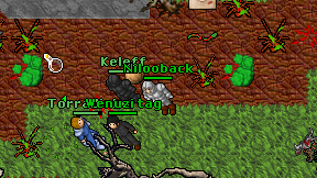 Nilooback on screen