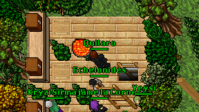 Quilaro on screen