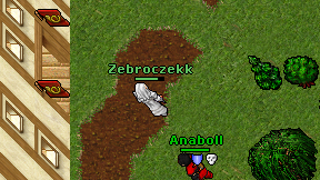 Zebroczekk on screen