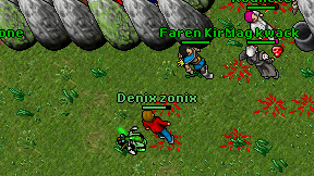 Denix zonix on screen
