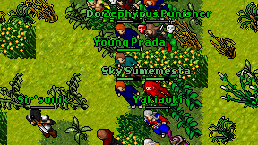 Sky'Vamp on screen