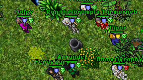 Arrandel on screen