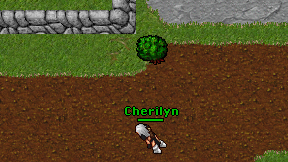 Cherilyn on screen