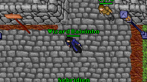Wizard Baixinho on screen