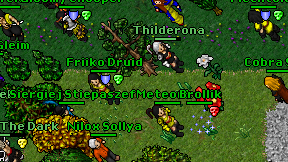 Cobra Sqad on screen