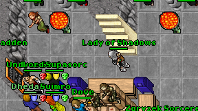 Lady of Shadows on screen