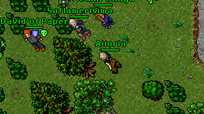 Aiioria on screen