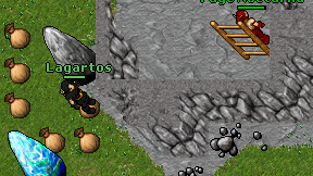 Lagartos on screen