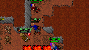 Tidus on screen
