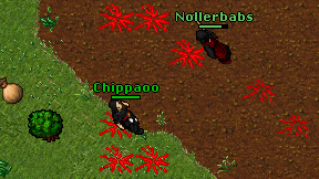 Chippaoo on screen