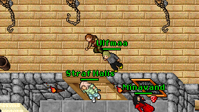 Ulfmaa on screen