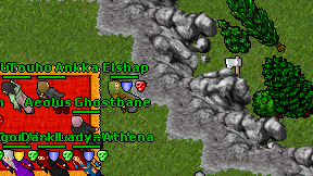 Elshap on screen