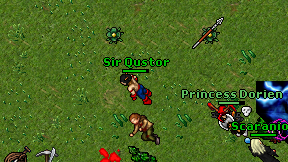 Sir Qustor on screen