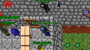 Koala Master on screen