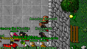 Anador Revolt on screen