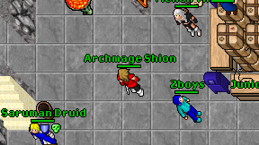Archmage Shion on screen