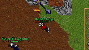 Bold Mage on screen