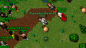 Pansho Priest on screen