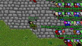 Buczi on screen