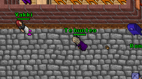 Te hunteo on screen