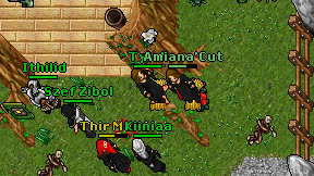 Amiana'Cut on screen