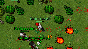 Edus lasek on screen