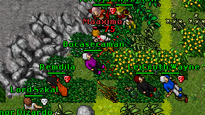 Bocasecaman on screen