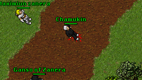Chamukin on screen