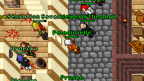 Paladinjelle on screen
