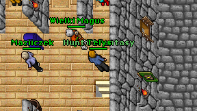 Telys on screen